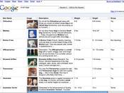 Hands on: Google Squared