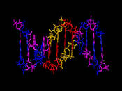Researchers create bacterial DNA memory